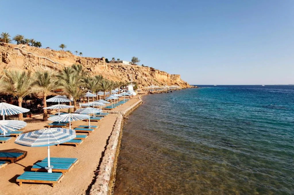 Пляж Albatros Sharm Resort